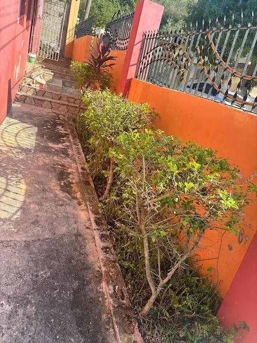 Shadricks Homes Spanish Town